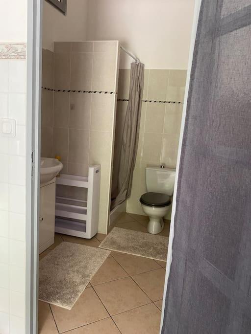 Villa Serenice - F2 Au Calme, Climatise, Wifi Et Parking Gratuit Ngoại thất bức ảnh