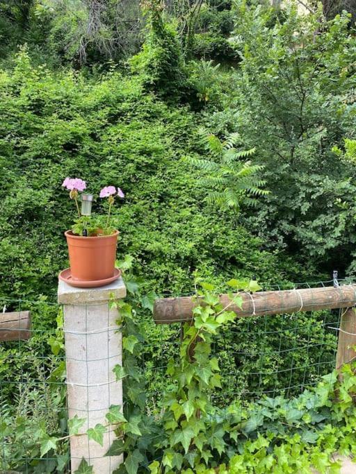 Villa Serenice - F2 Au Calme, Climatise, Wifi Et Parking Gratuit Ngoại thất bức ảnh